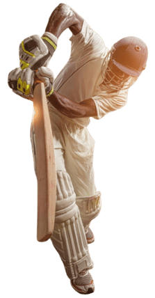 betfarms-online-cricket-protector